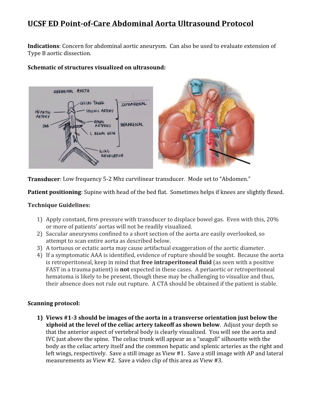 Abdominal Aorta Ultrasound Protocol