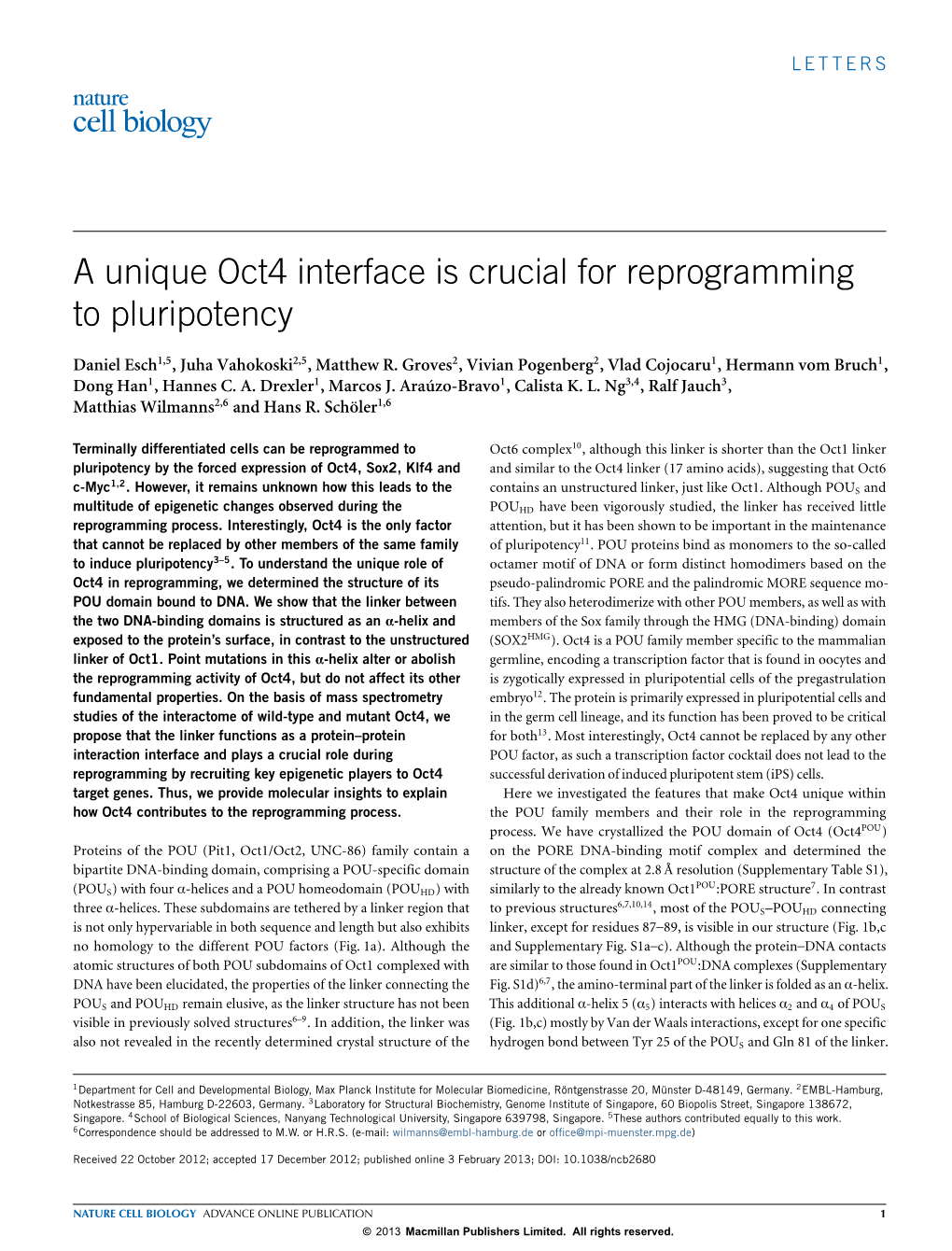 A Unique Oct4 Interface Is Crucial for Reprogramming to Pluripotency