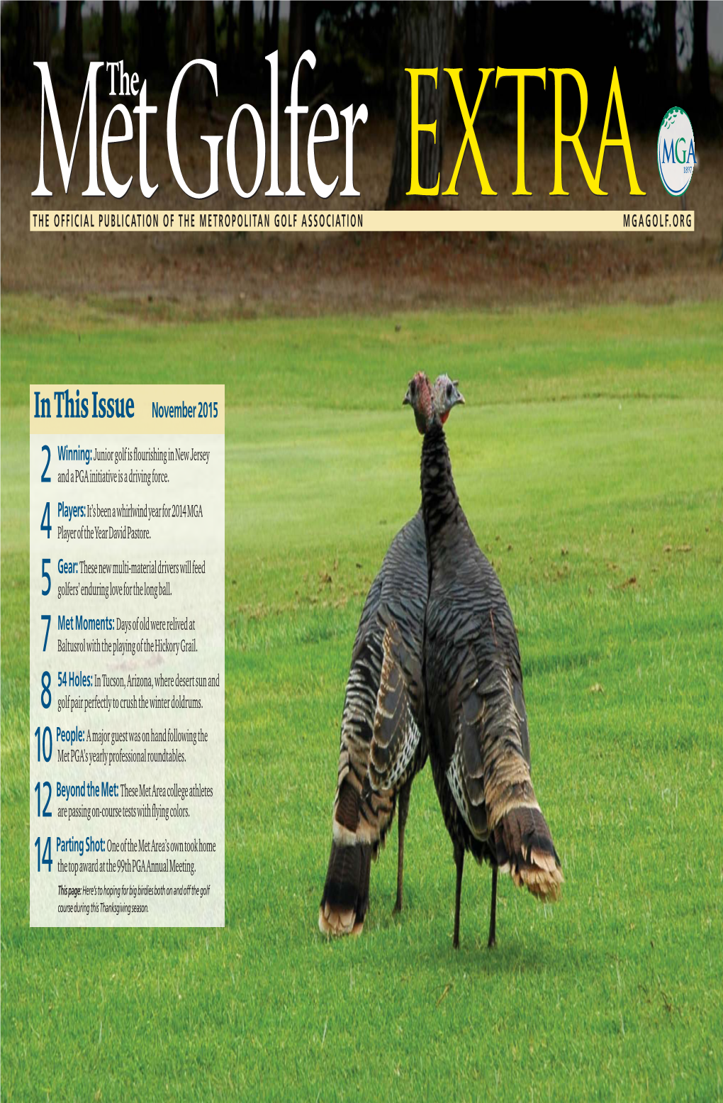 Extra Nov 2015.Pdf