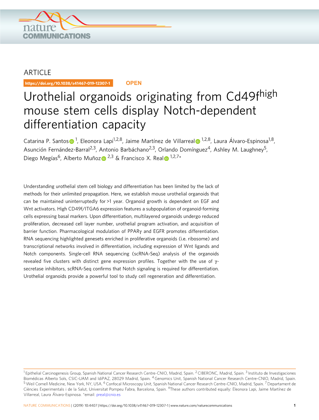 Urothelial Organoids Originating from Cd49fhigh Mouse Stem Cells Display Notch-Dependent Differentiation Capacity