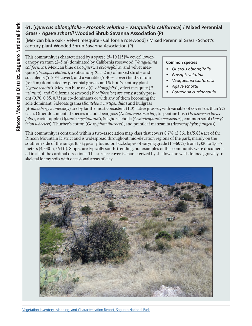 Plant Associations of the Rincon Mountain District, Saguaro National