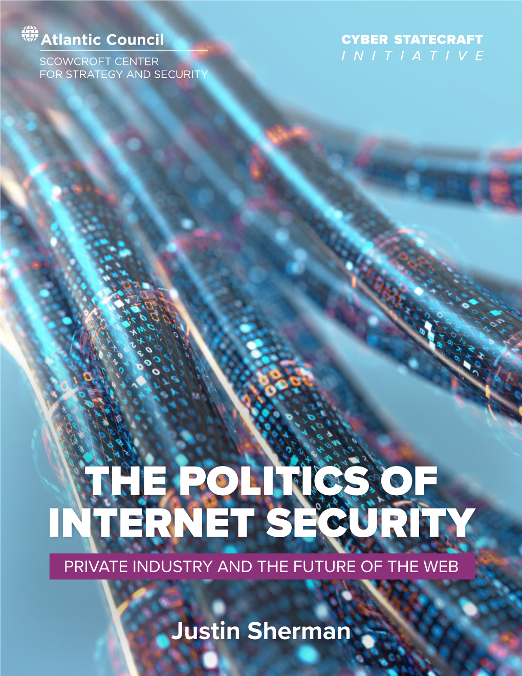 The Politics of Internet Security Private Industry and the Future of the Web