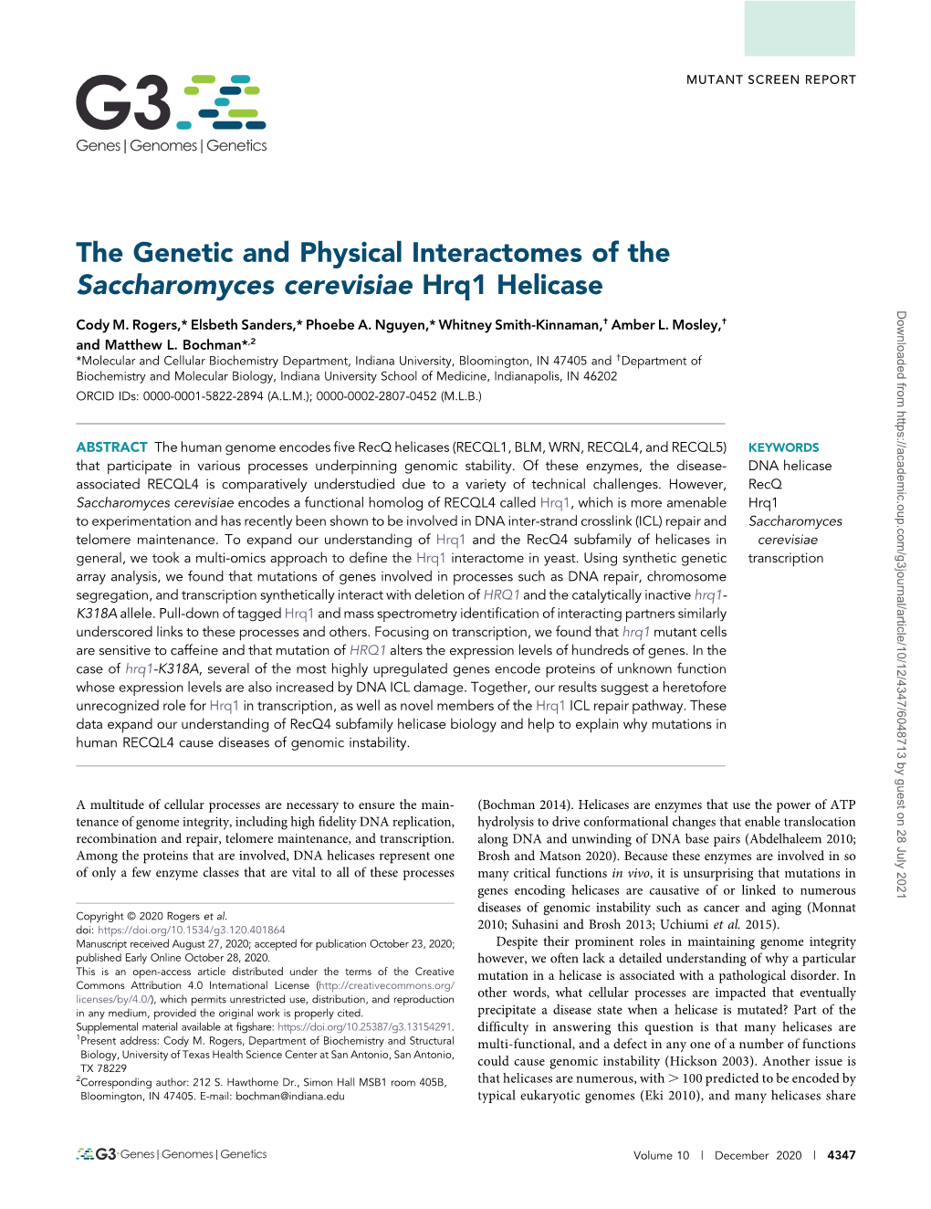 The Genetic and Physical Interactomes of the Saccharomyces Cerevisiae Hrq1 Helicase