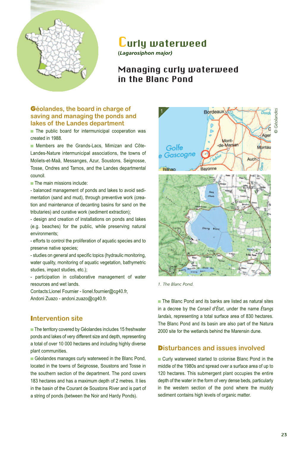 Managing Curly Waterweed in the Blanc Pond S