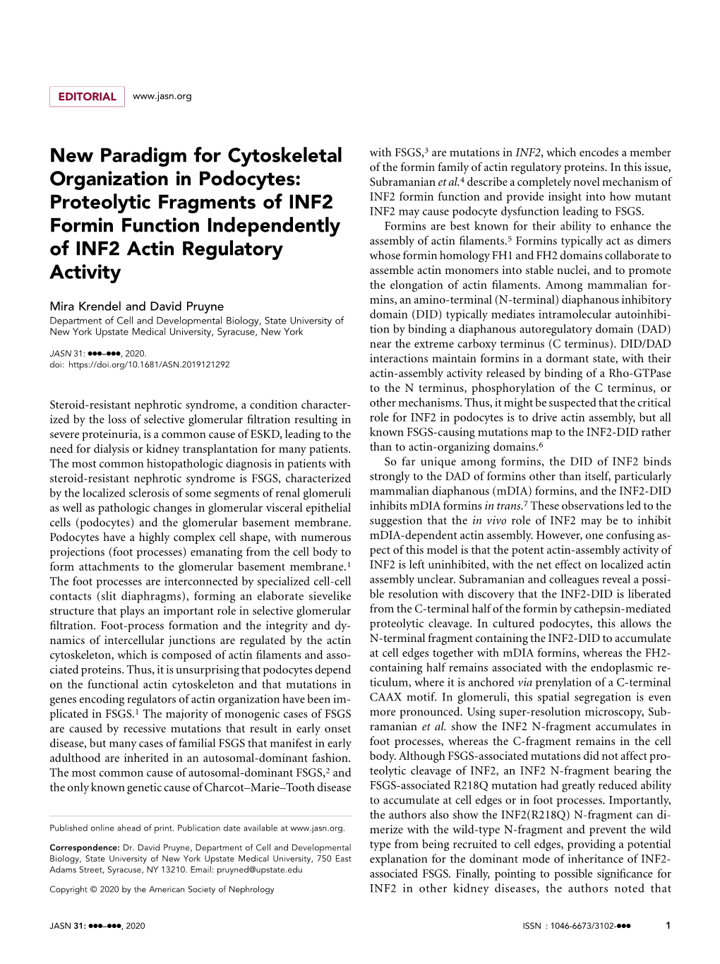 Proteolytic Fragments of INF2 Formin Function Independently Of