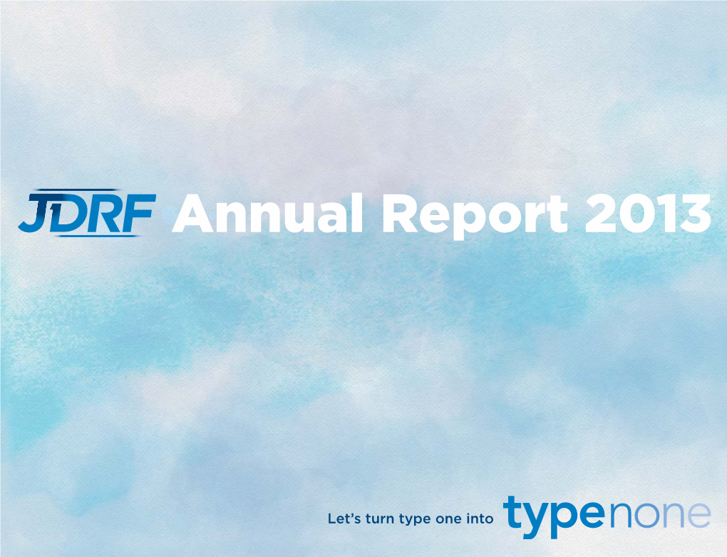 Annual Impact Report 2013