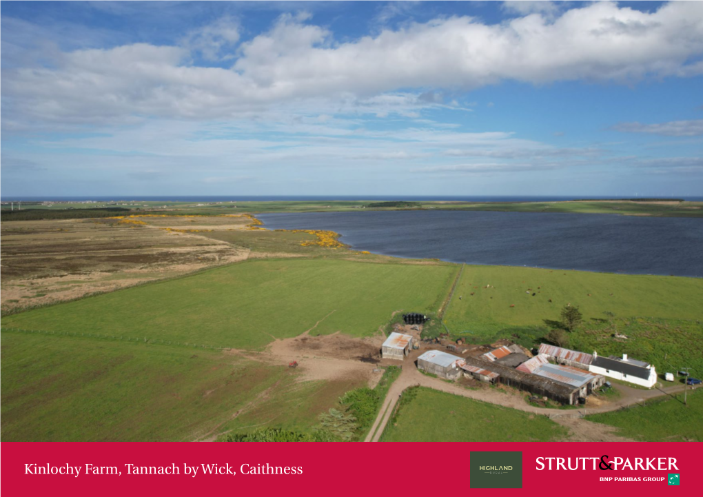 Kinlochy Farm, Tannach by Wick, Caithness Kinlochy Farm Are Also Weekly Sales in Dingwall, Which Is Tannoch, Approximately 92 Miles to the South