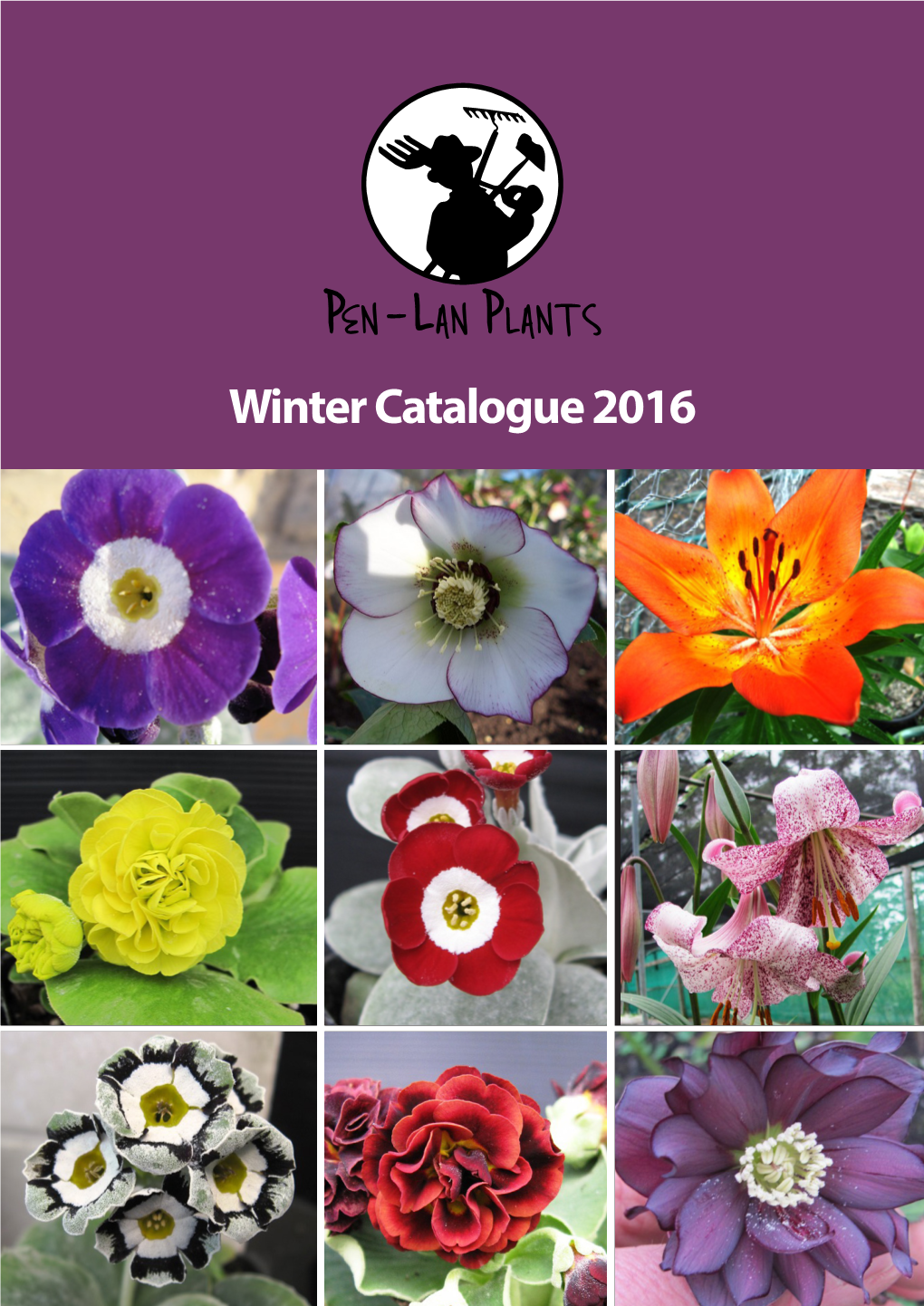 Winter Catalogue 2016
