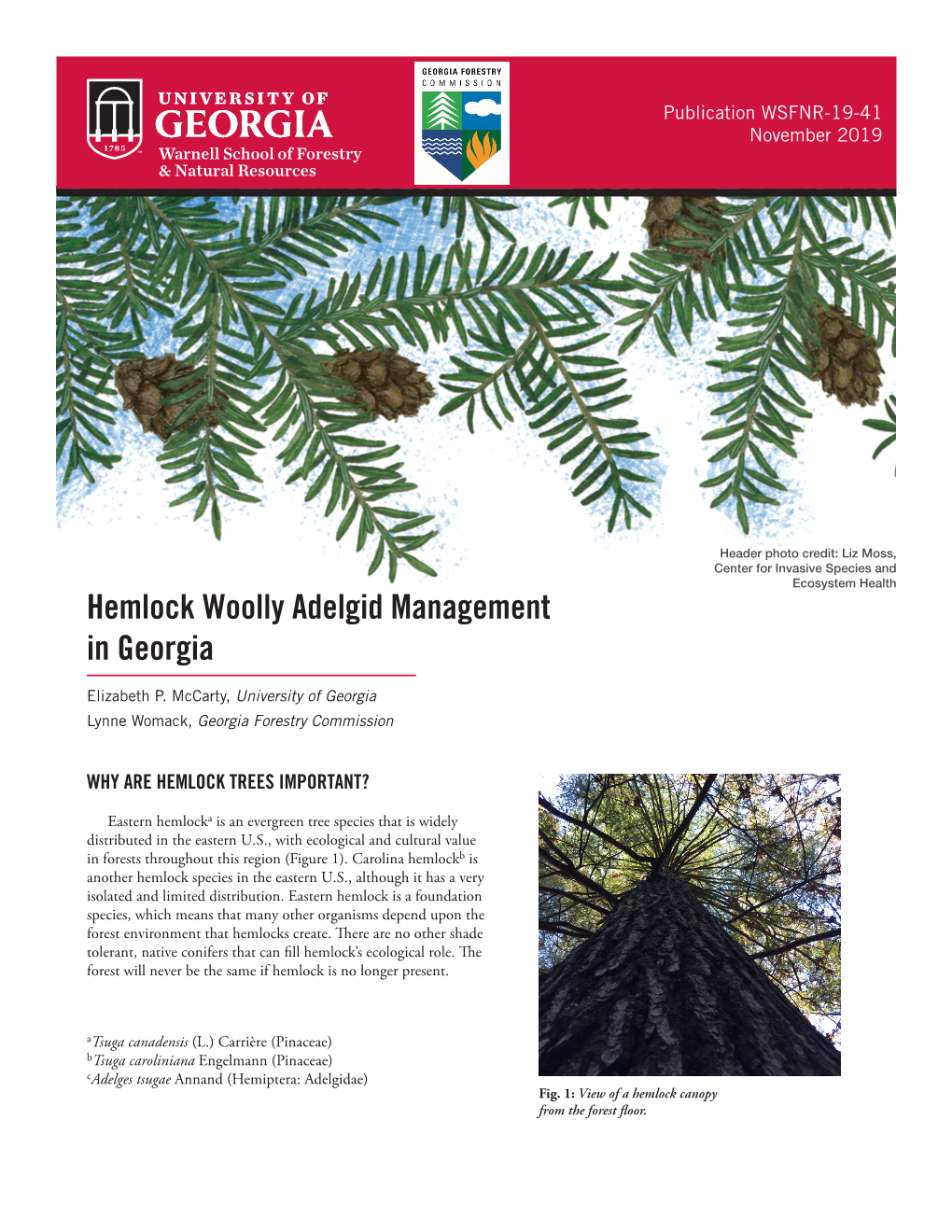 Hemlock Woolly Adelgid Management in Georgia