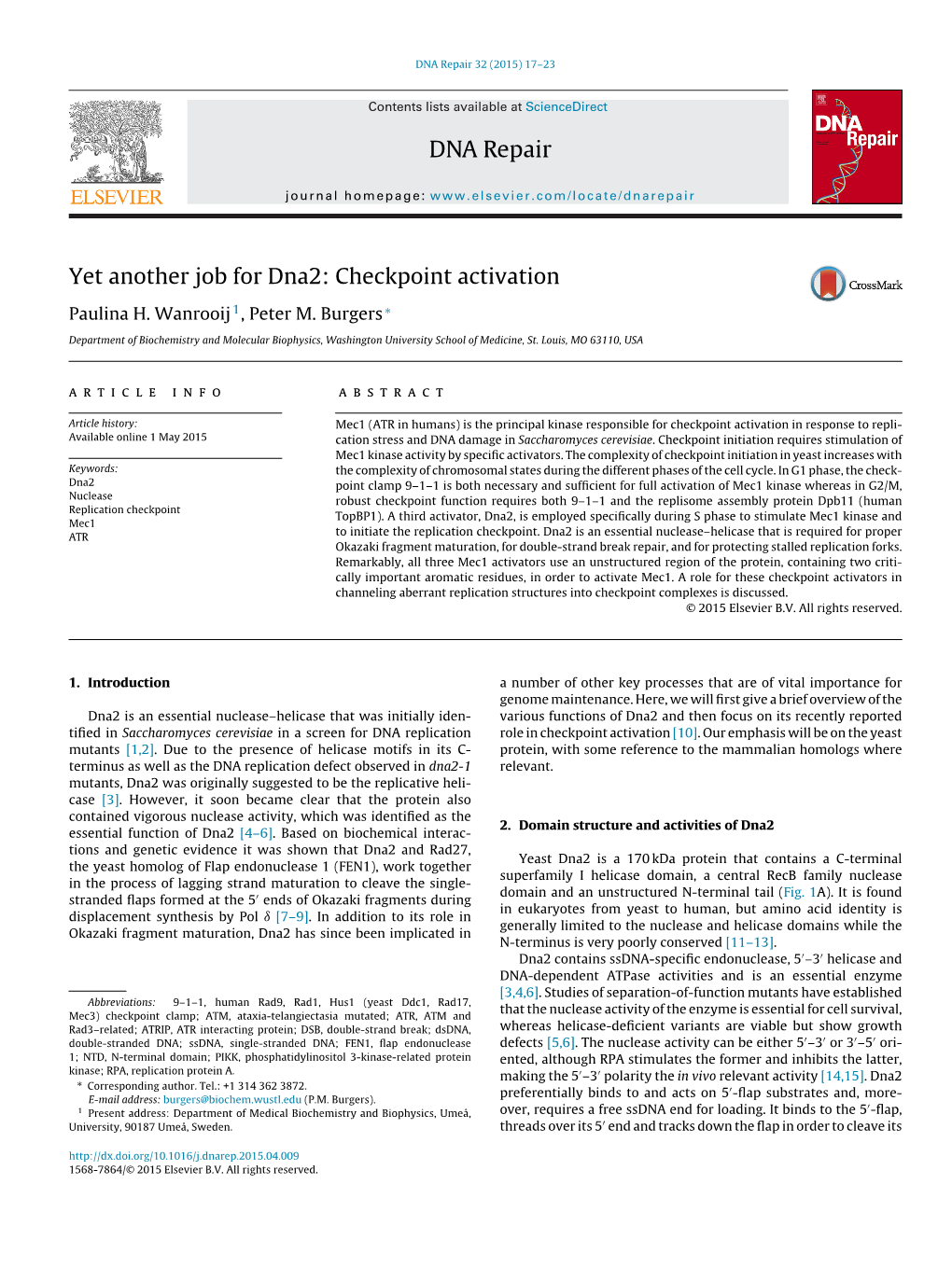 Yet Another Job for Dna2: Checkpoint Activation