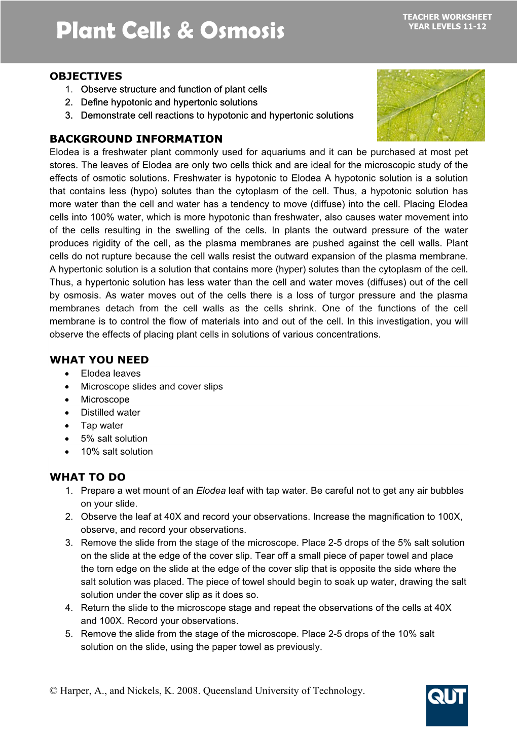 Plant Cells & Osmosis