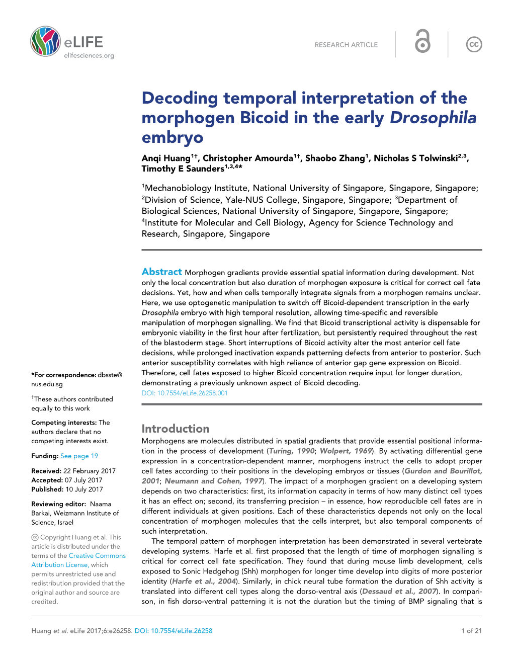 Decoding Temporal Interpretation of the Morphogen Bicoid in the Early