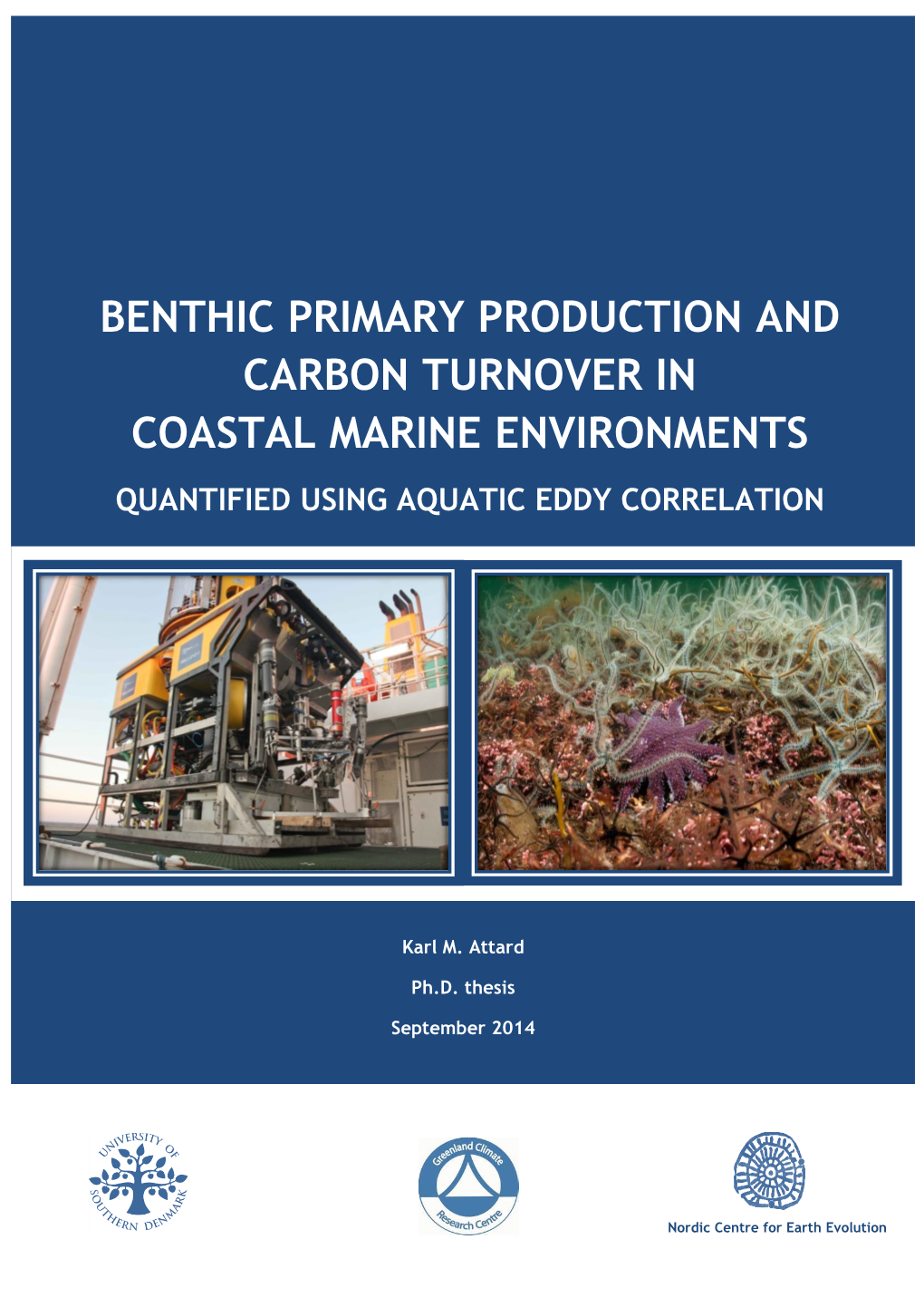 Benthic Primary Production and Carbon Turnover in Coastal Marine Environments Quantified Using Aquatic Eddy Correlation