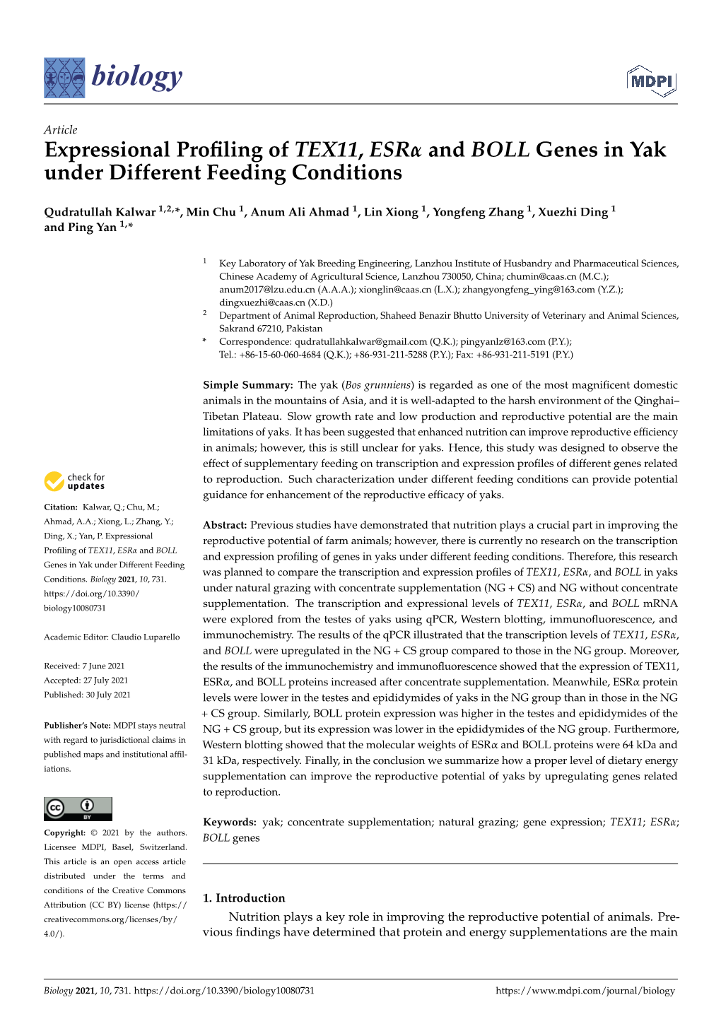 Expressional Profiling of TEX11, ESR and BOLL Genes in Yak Under