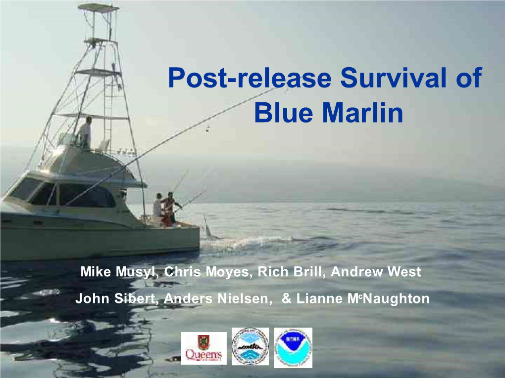 Post-Release Survival of Blue Marlin