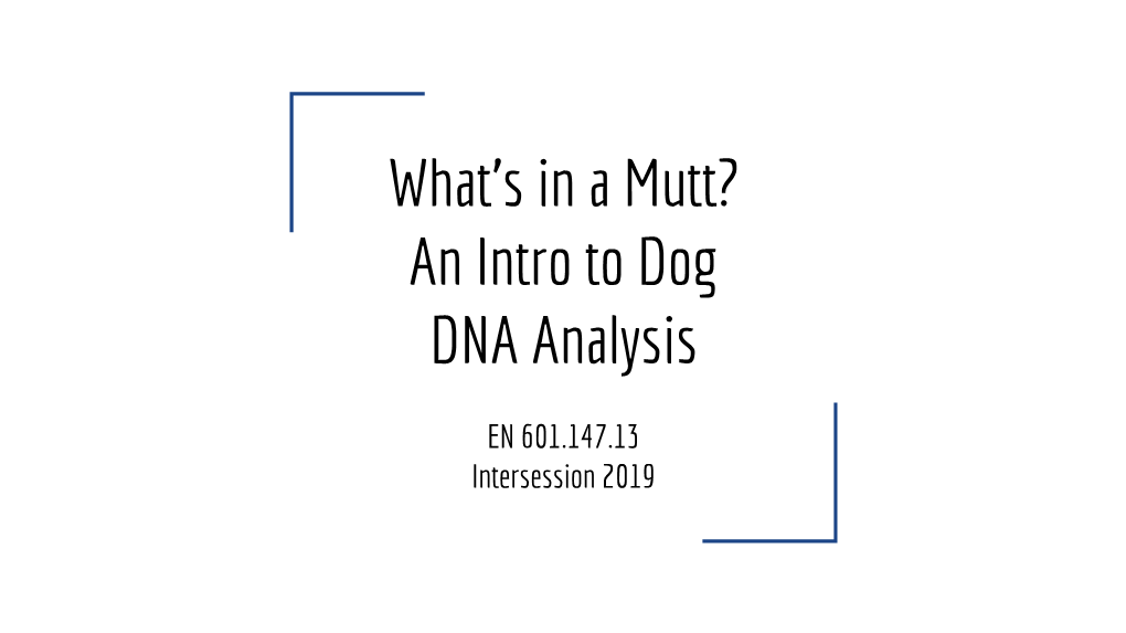 What's in a Mutt? an Intro to Dog DNA Analysis