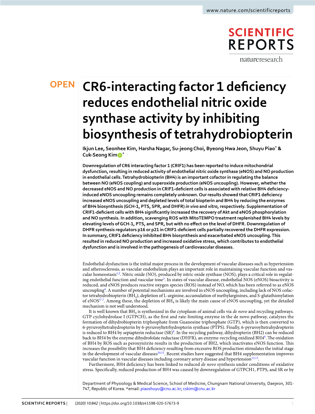 CR6-Interacting Factor 1 Deficiency Reduces Endothelial Nitric Oxide