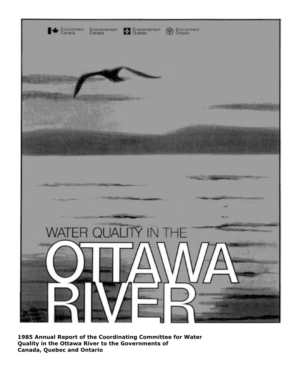 Water Quality in the Ottawa River. 1985