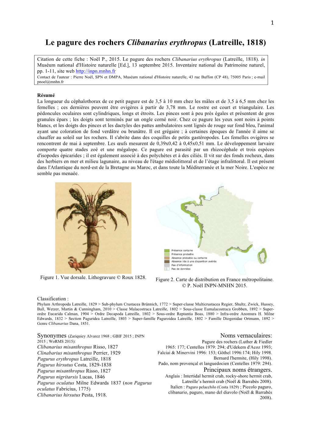 Clibanarius Erythropus INPN Aactualiser