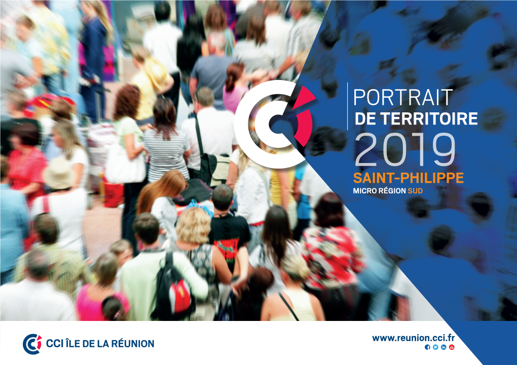 Portrait De Territoire 2019 Saint-Philippe Micro Région Sud