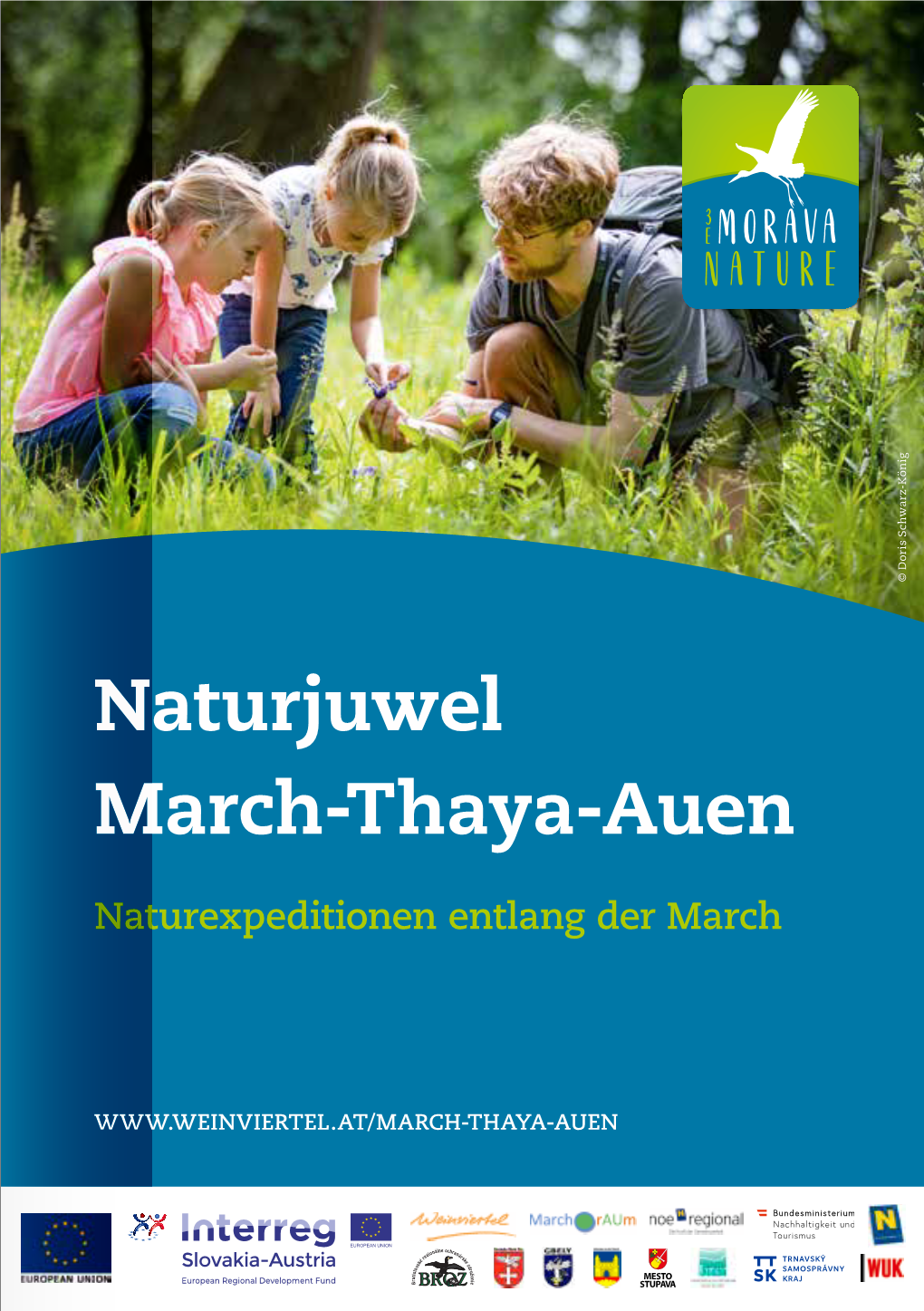 Naturjuwel March-Thaya-Auen