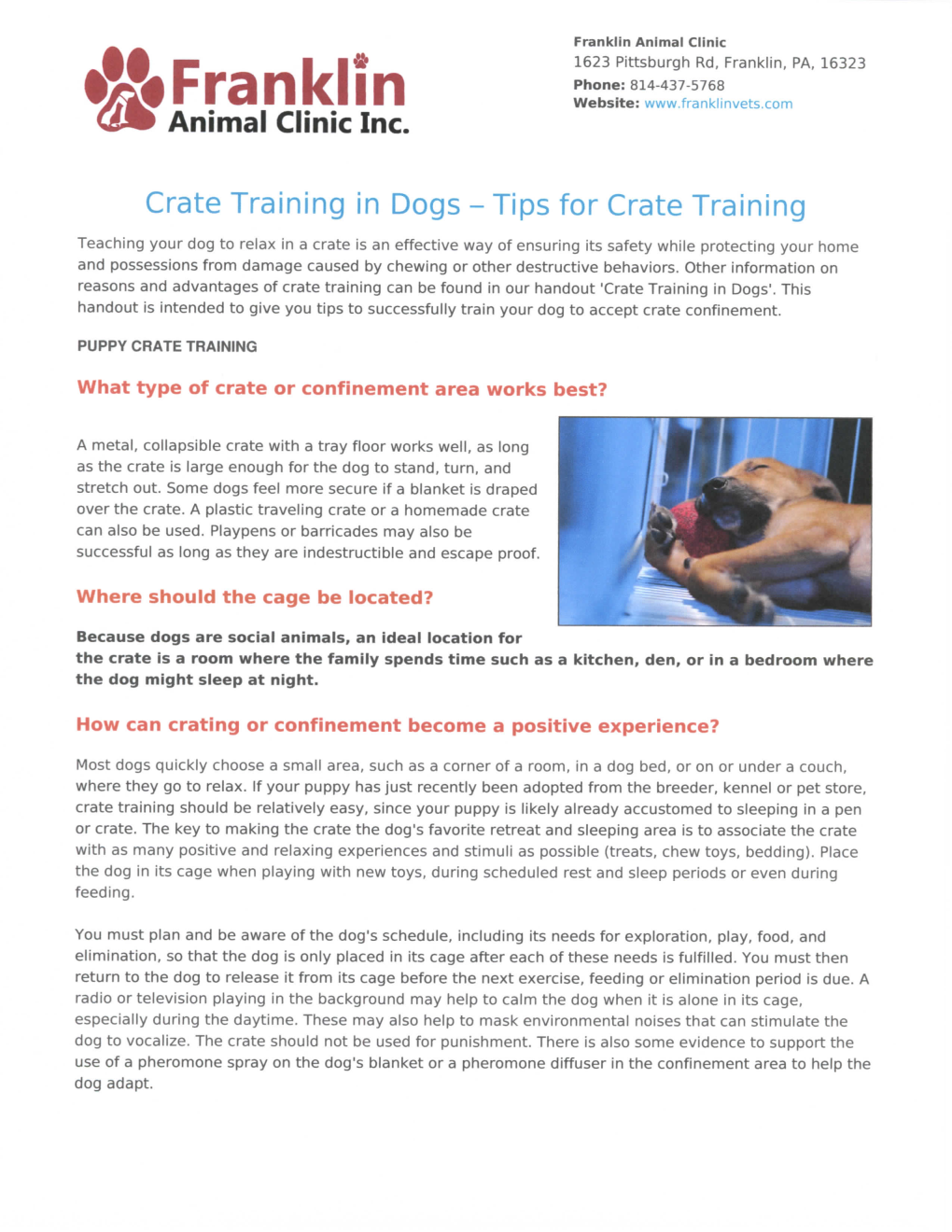Tips on Crate Training