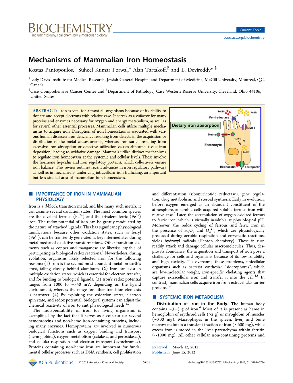 Mechanisms of Mammalian Iron Homeostasis Kostas Pantopoulos,† Suheel Kumar Porwal,‡ Alan Tartakoﬀ,§ and L