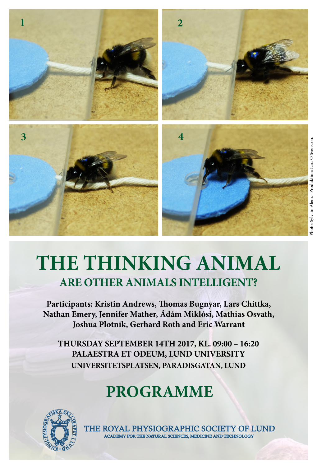 The Thinking Animal Are Other Animals Intelligent?