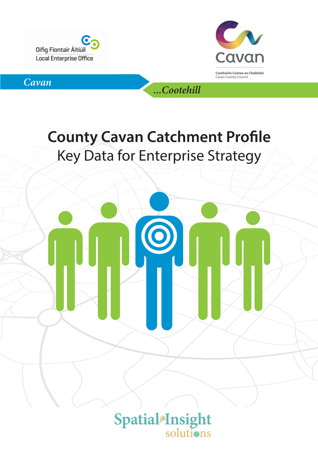 County Cavan Catchment Profile Key Data for Enterprise Strategy About This Report