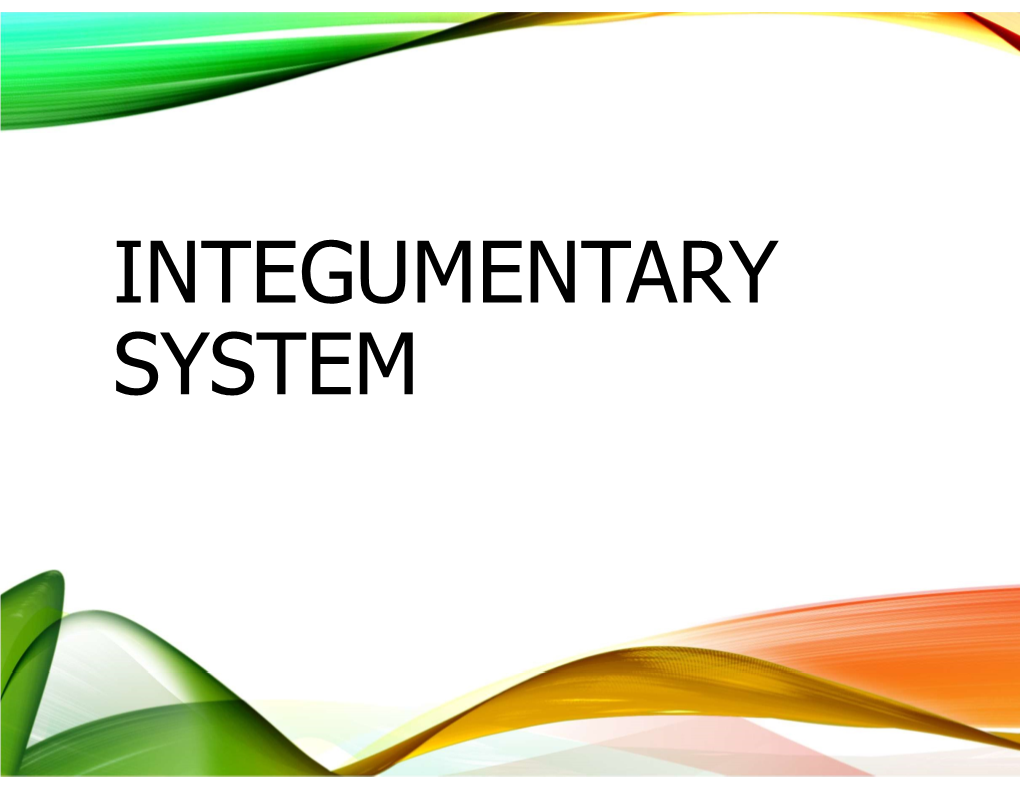 Integumentary System Classification of Body Membranes