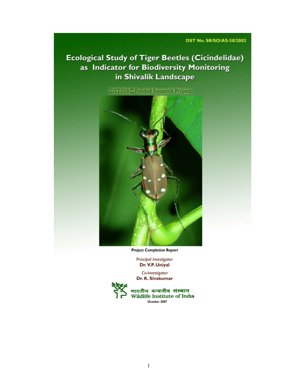 Tiger Beetles Dst.Pdf