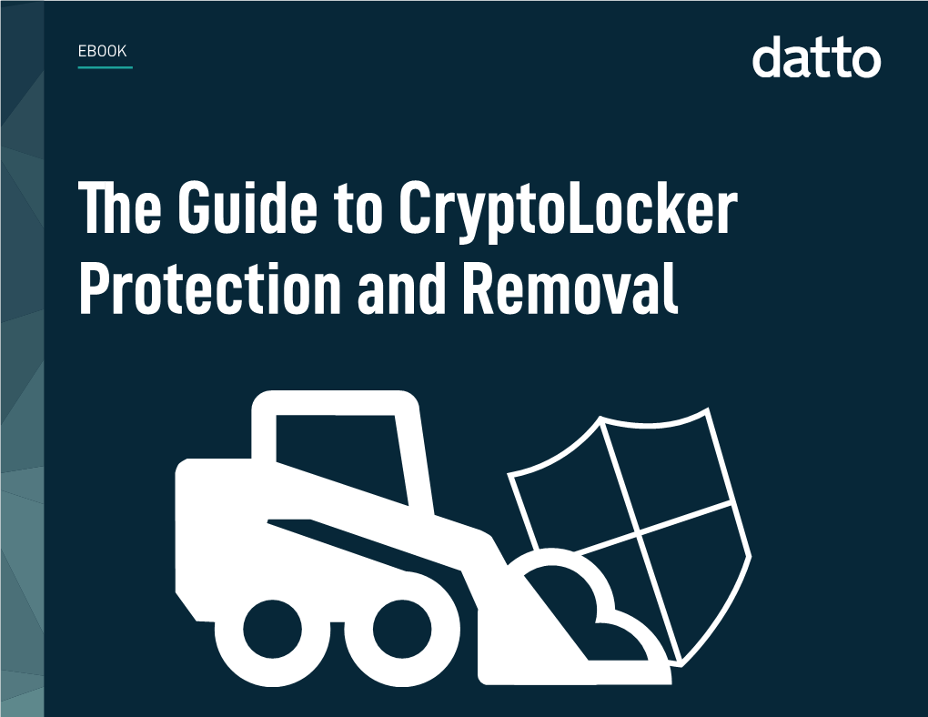 The Guide to Cryptolocker Protection and Removal