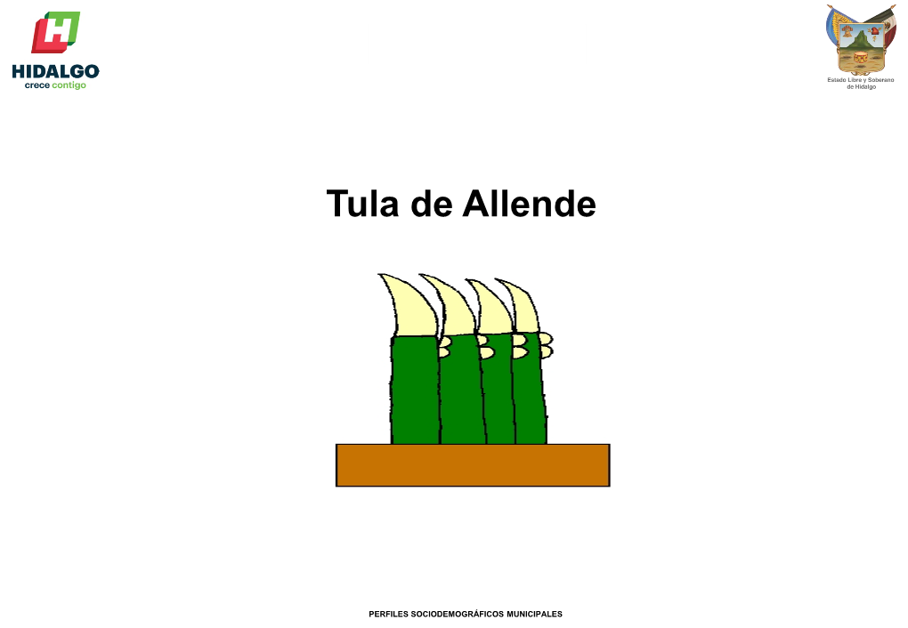 Tula De Allende