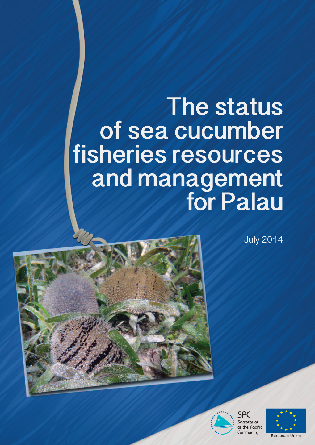 The Status of Sea Cucumber Fisheries Resources and Management for Palau