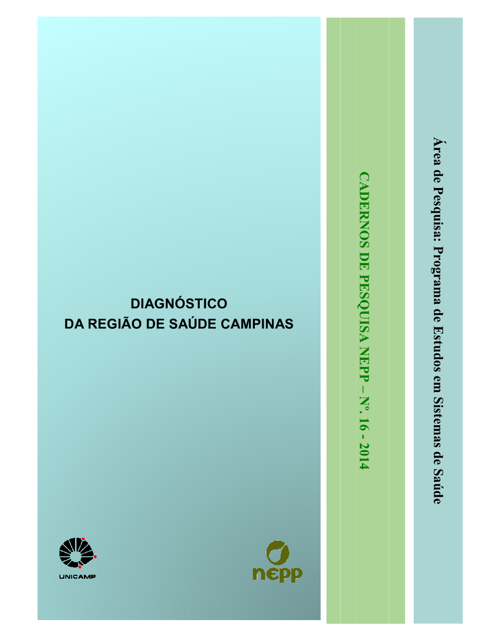 Diagnóstico Da Região De Saúde Campinas