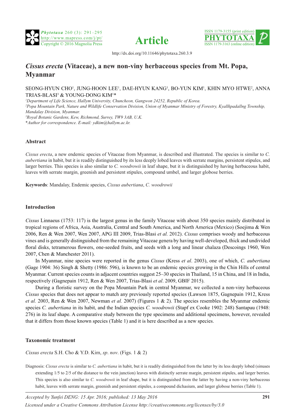 Vitaceae), a New Non-Viny Herbaceous Species from Mt