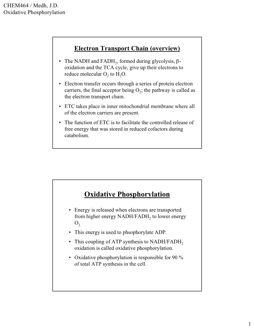 Oxidative Phosphorylation.Pdf