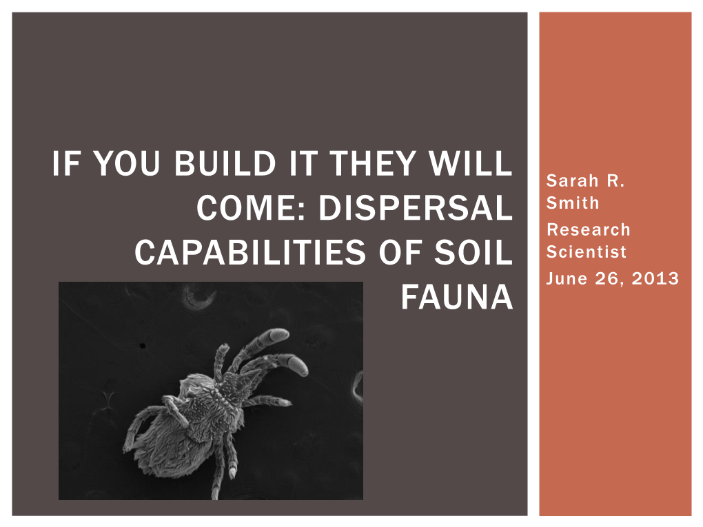 Dispersal Capabilities of Soil Fauna