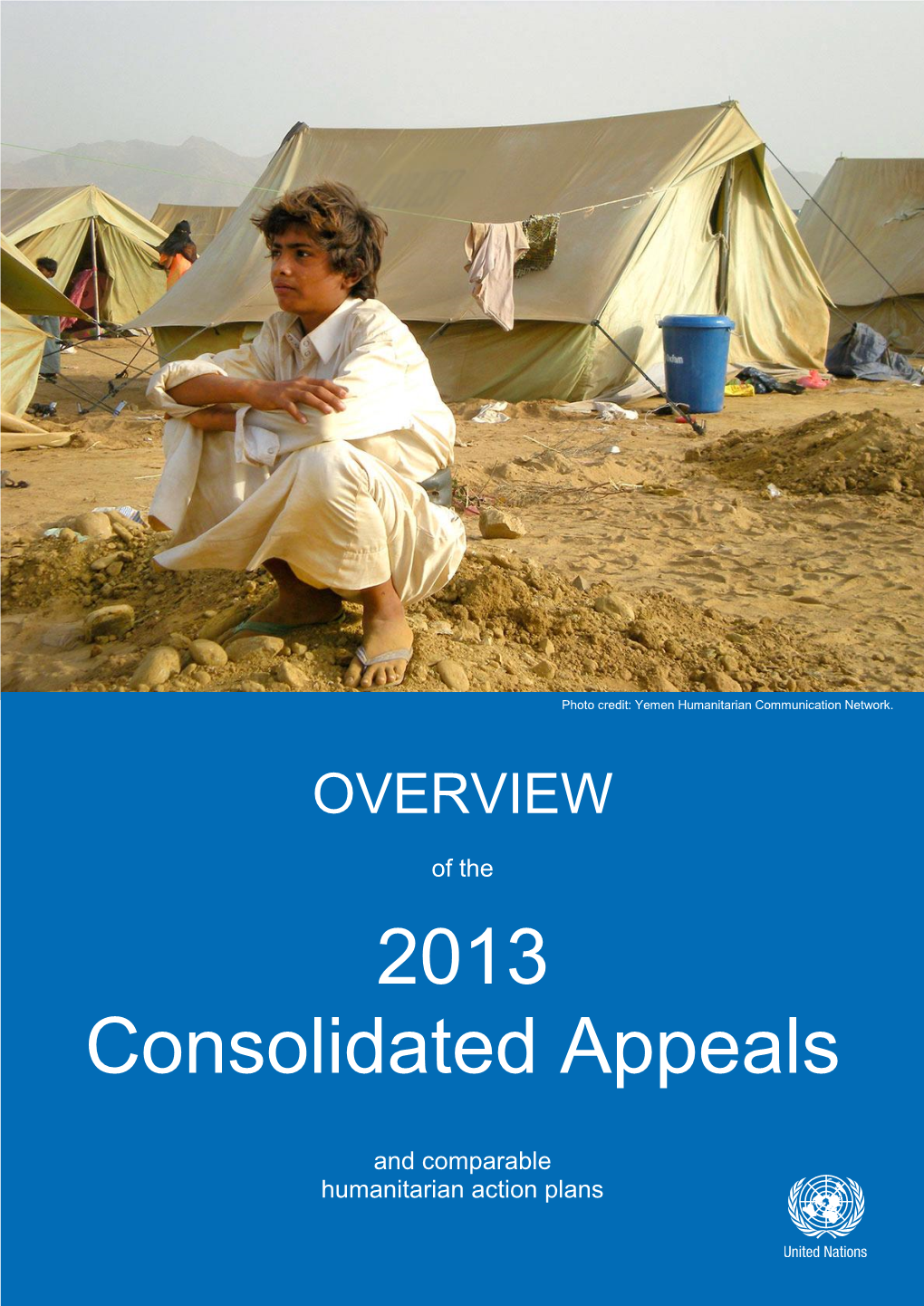 Overview of the 2013 Consolidated Appeals