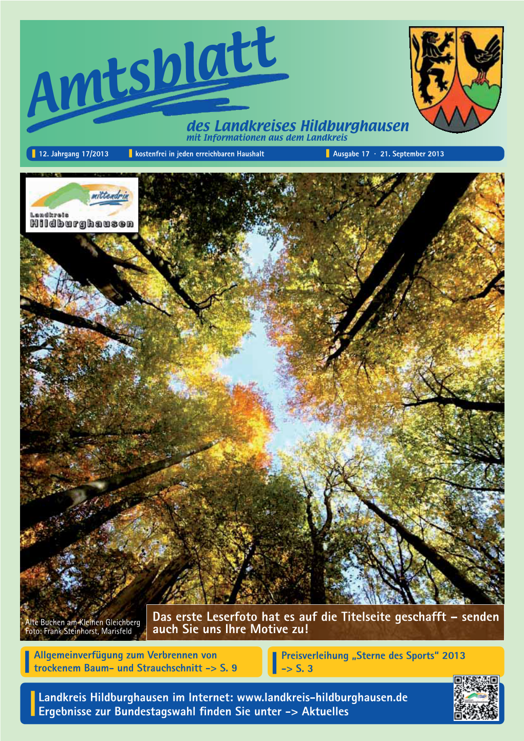 Amtsblatt 17-2013