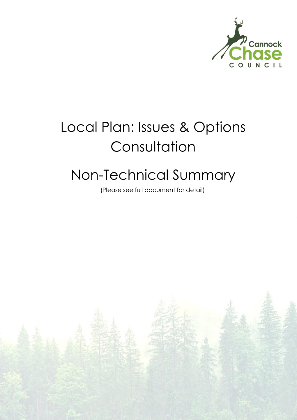 Local Plan Summary