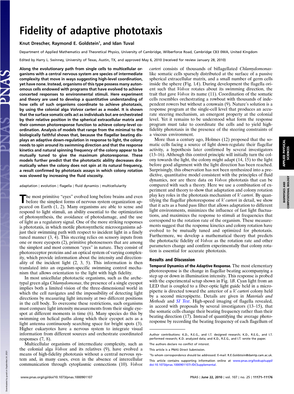 Fidelity of Adaptive Phototaxis