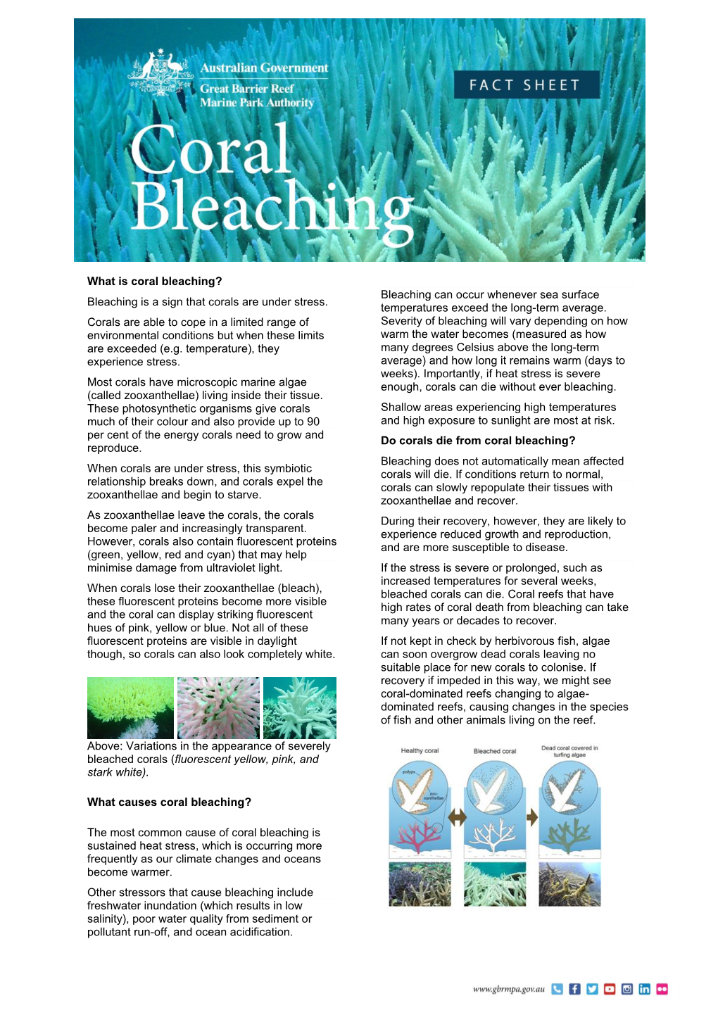 What Is Coral Bleaching? Bleaching Can Occur Whenever Sea Surface Bleaching Is a Sign That Corals Are Under Stress