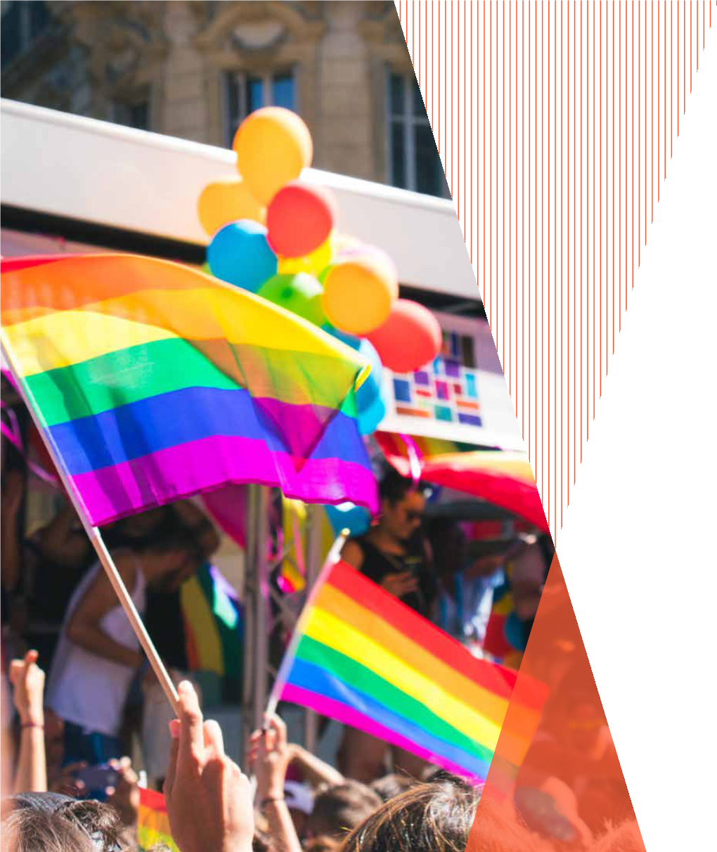 Lgbtq-Advocacy-Csr.Pdf