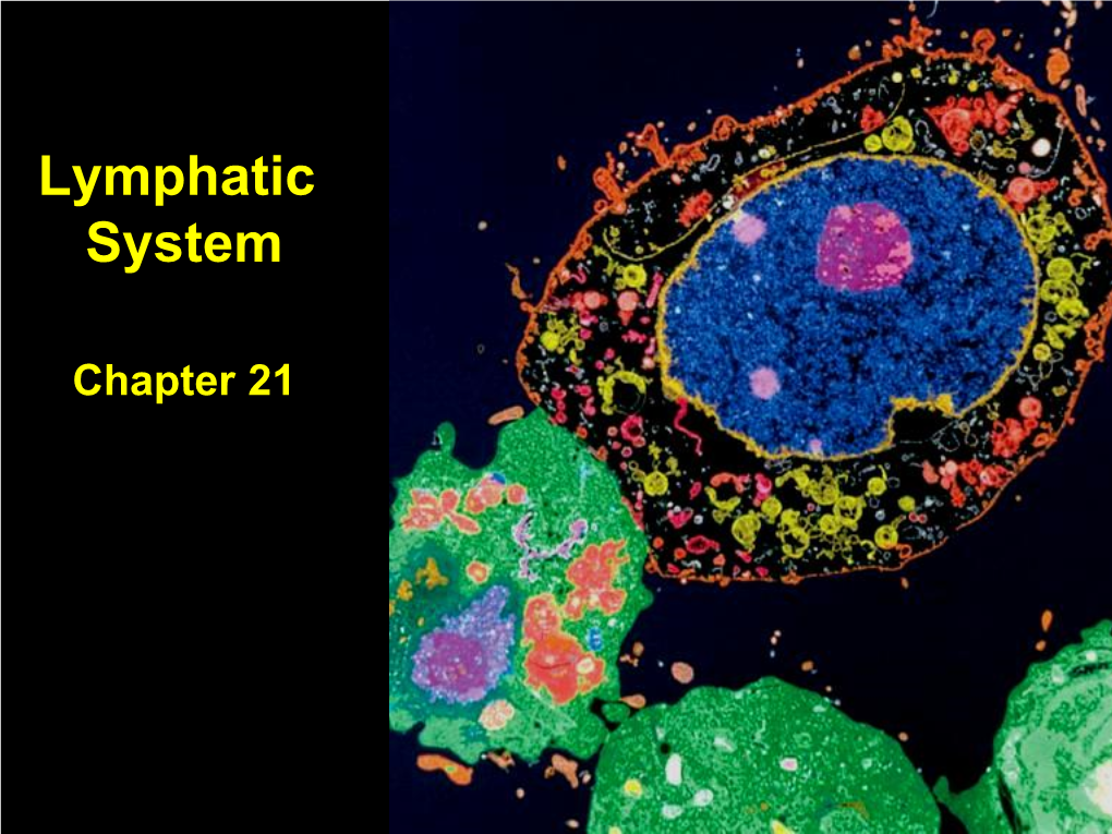 Chapter 21 the Lymphatic System