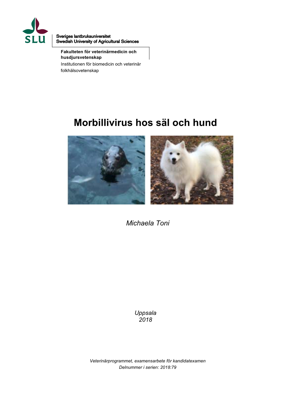 Morbillivirus Hos Säl Och Hund