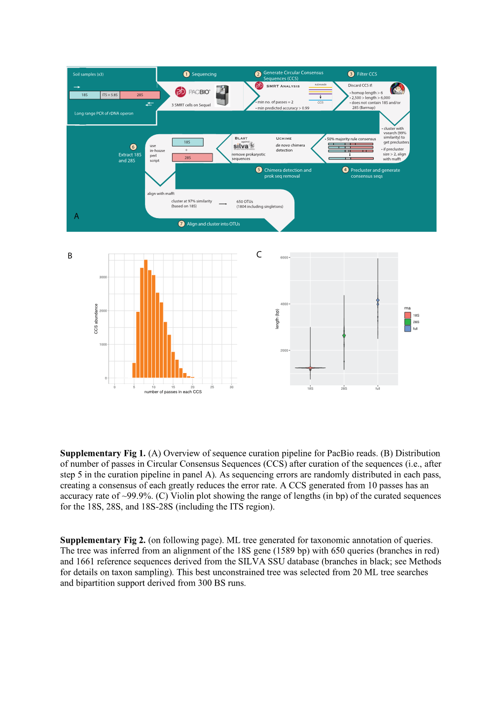 (A) Overview of Sequence Curation Pipeline for Pacbio Reads