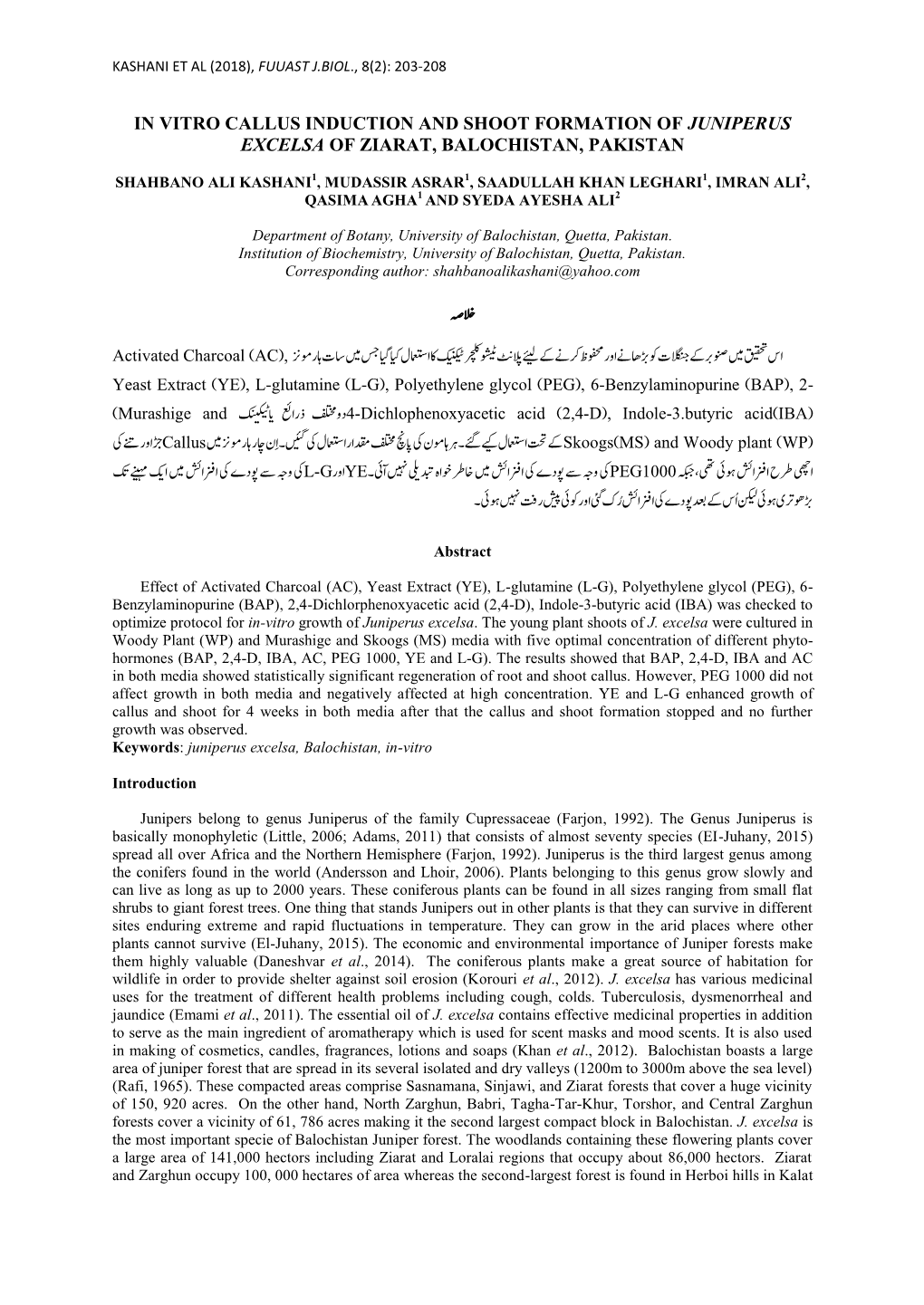 In Vitro Callus Induction and Shoot Formation of Juniperus Excelsa of Ziarat, Balochistan, Pakistan