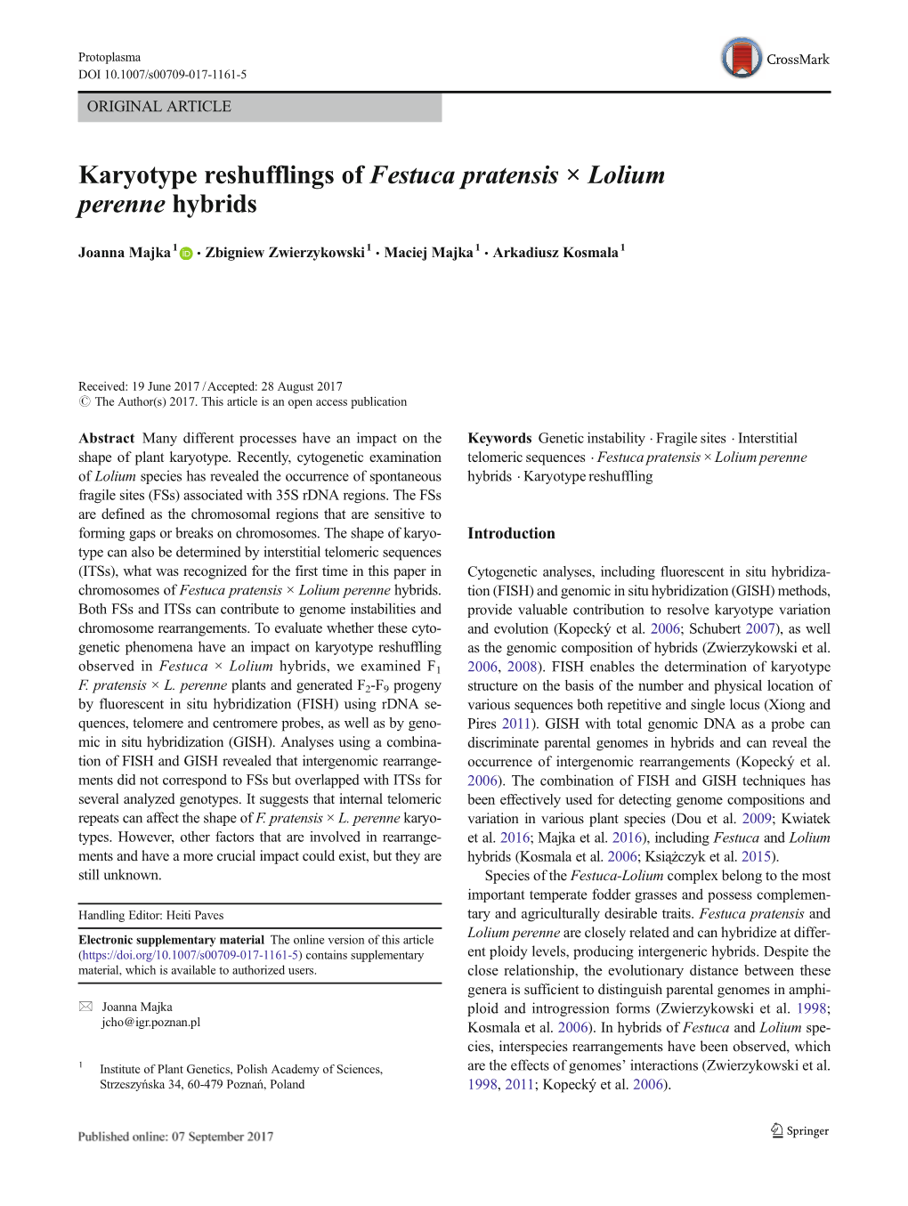 Karyotype Reshufflings of Festuca Pratensis × Lolium Perenne Hybrids