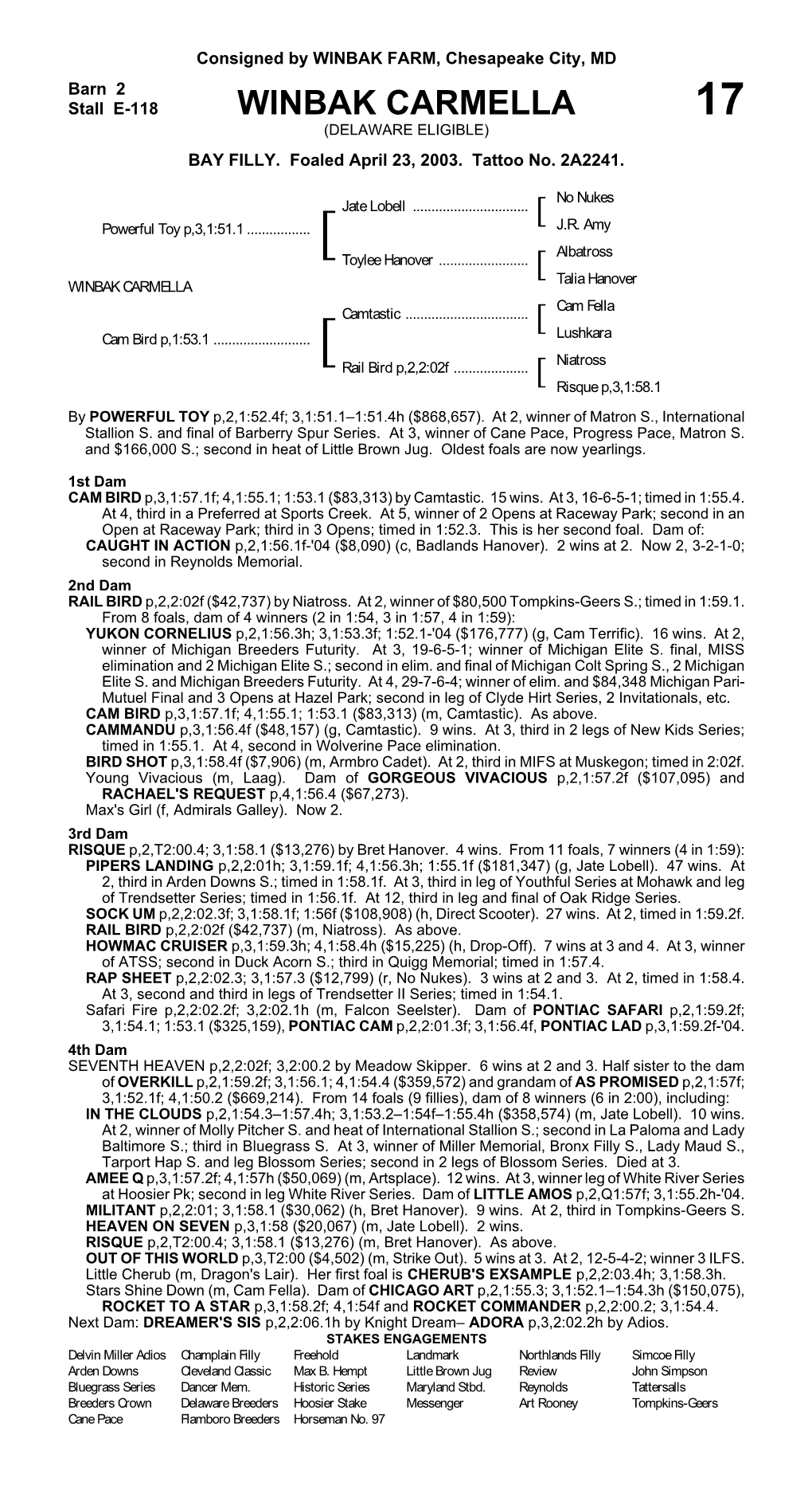 T:\2004TATTNJ\PEDIGREES\2004 NJ Yearling Sale\WINB\CAM BIRD.Wpd